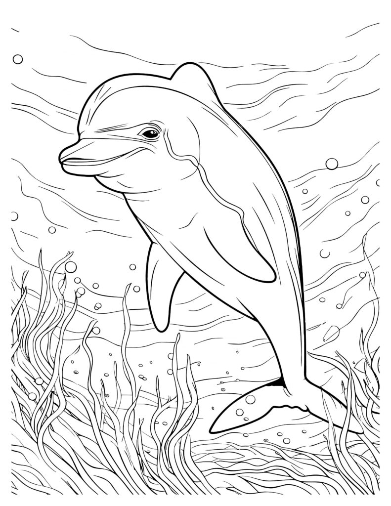 198 Dolphin Coloring Pages Free Printable 148