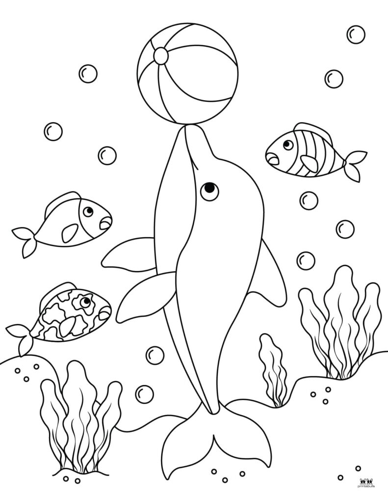 198 Dolphin Coloring Pages Free Printable 154