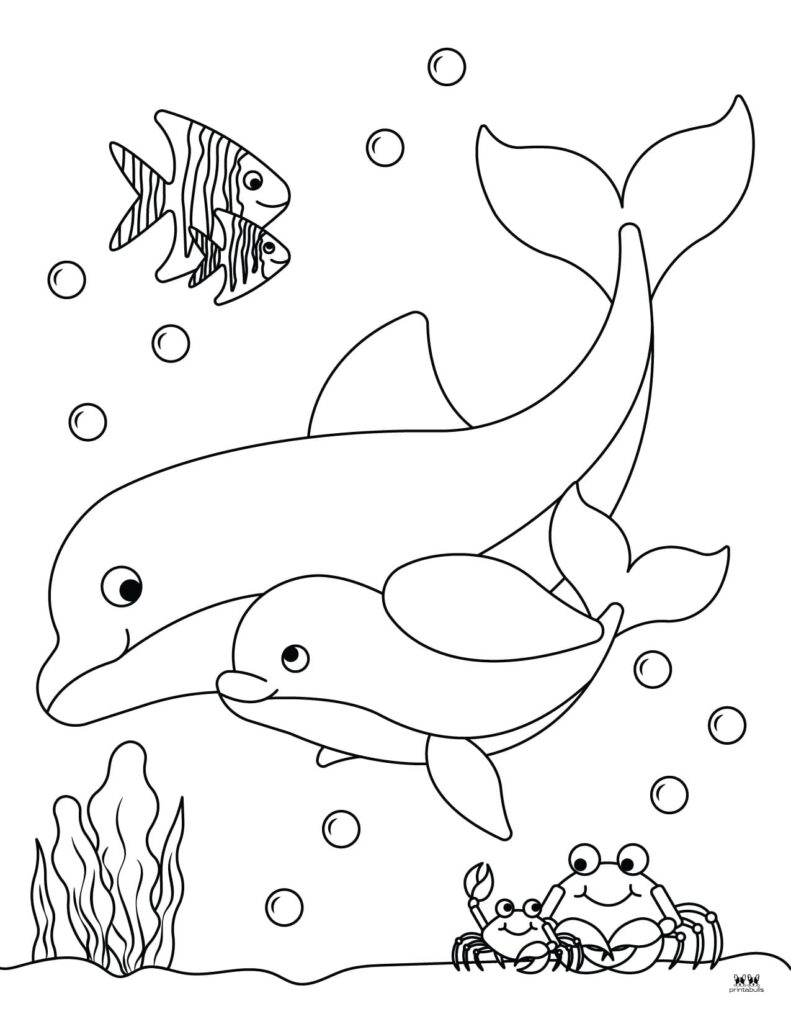 198 Dolphin Coloring Pages Free Printable 158