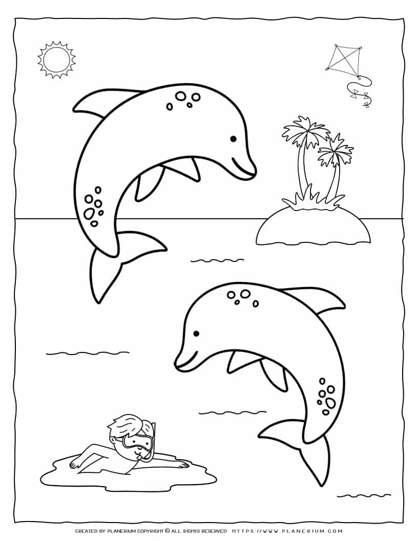 198 Dolphin Coloring Pages Free Printable 162