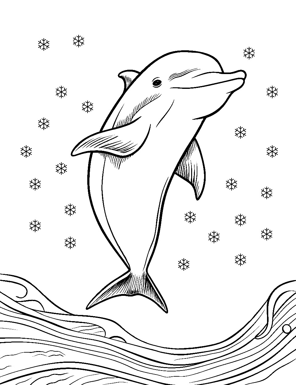 198 Dolphin Coloring Pages Free Printable 167