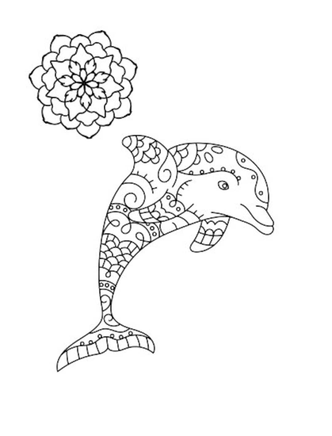 198 Dolphin Coloring Pages Free Printable 171