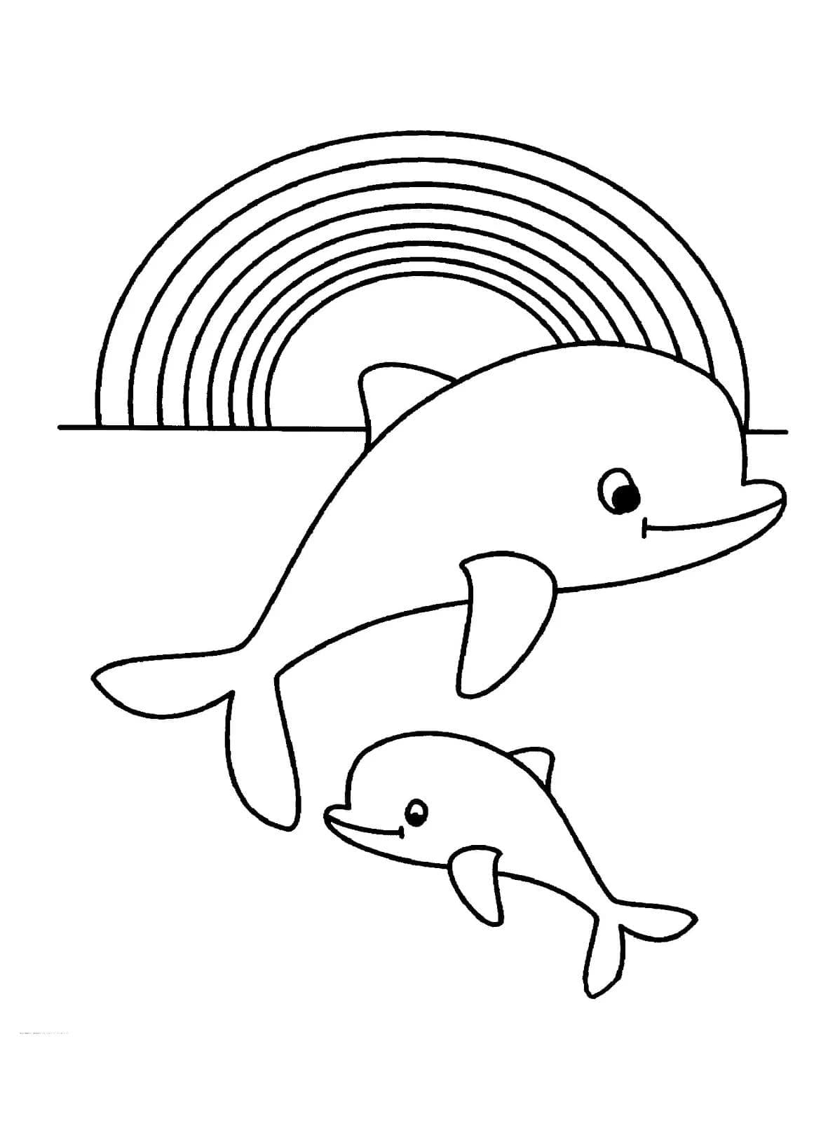 198 Dolphin Coloring Pages Free Printable 174