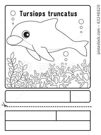 198 Dolphin Coloring Pages Free Printable 19