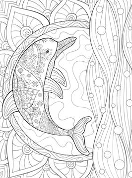 198 Dolphin Coloring Pages Free Printable 2