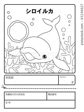 198 Dolphin Coloring Pages Free Printable 20