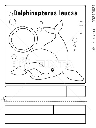 198 Dolphin Coloring Pages Free Printable 21