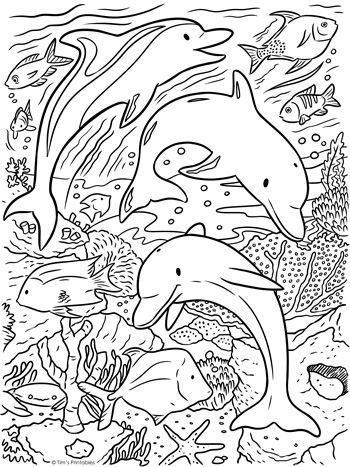 198 Dolphin Coloring Pages Free Printable 23