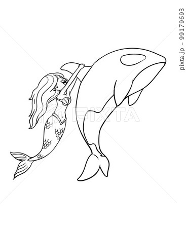 198 Dolphin Coloring Pages Free Printable 26