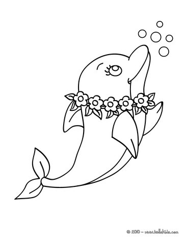 198 Dolphin Coloring Pages Free Printable 27