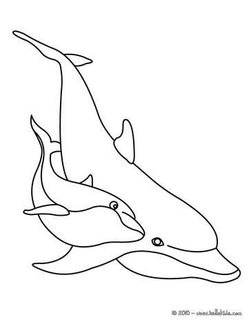 198 Dolphin Coloring Pages Free Printable 28