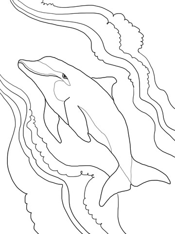 198 Dolphin Coloring Pages Free Printable 29