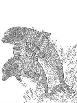 198 Dolphin Coloring Pages Free Printable 3