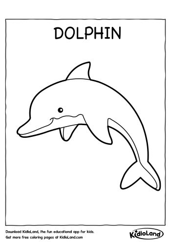 198 Dolphin Coloring Pages Free Printable 31