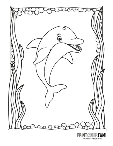 198 Dolphin Coloring Pages Free Printable 39