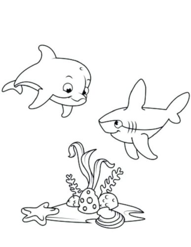 198 Dolphin Coloring Pages Free Printable 40