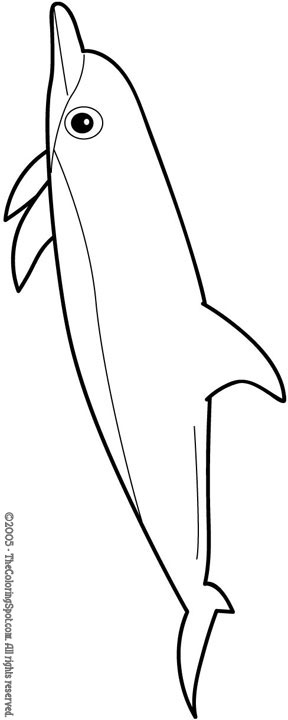 198 Dolphin Coloring Pages Free Printable 47