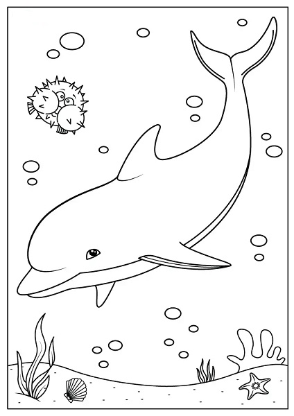 198 Dolphin Coloring Pages Free Printable 51