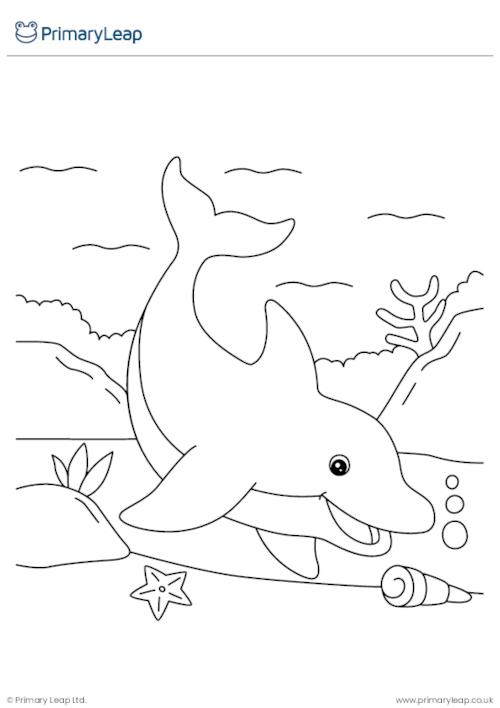 198 Dolphin Coloring Pages Free Printable 66