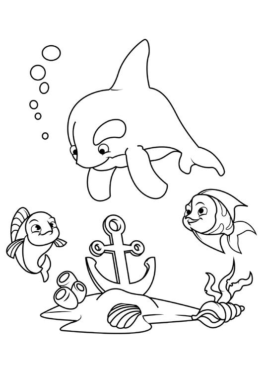 198 Dolphin Coloring Pages Free Printable 67