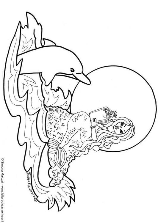 198 Dolphin Coloring Pages Free Printable 69