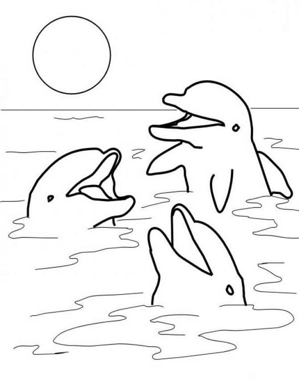 198 Dolphin Coloring Pages Free Printable 72