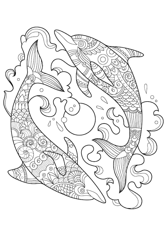 198 Dolphin Coloring Pages Free Printable 73