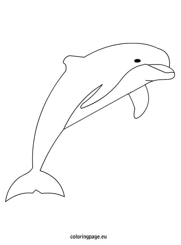 198 Dolphin Coloring Pages Free Printable 74