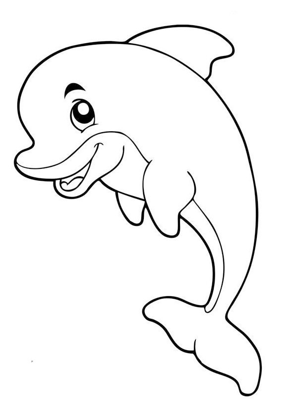 198 Dolphin Coloring Pages Free Printable 84