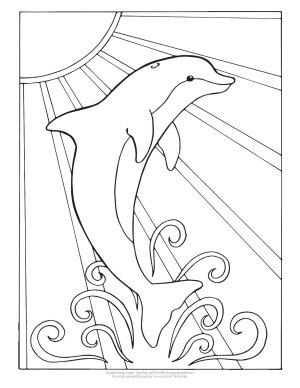 198 Dolphin Coloring Pages Free Printable 9