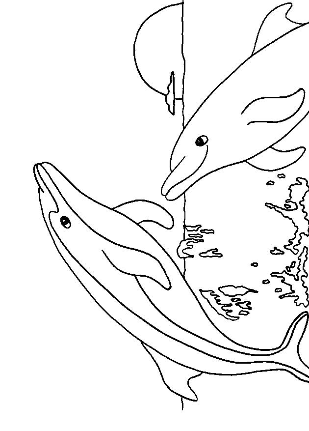 198 Dolphin Coloring Pages Free Printable 93