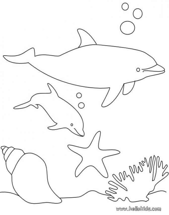 198 Dolphin Coloring Pages Free Printable 94