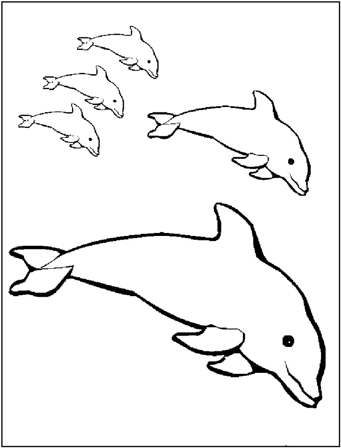 198 Dolphin Coloring Pages Free Printable 97