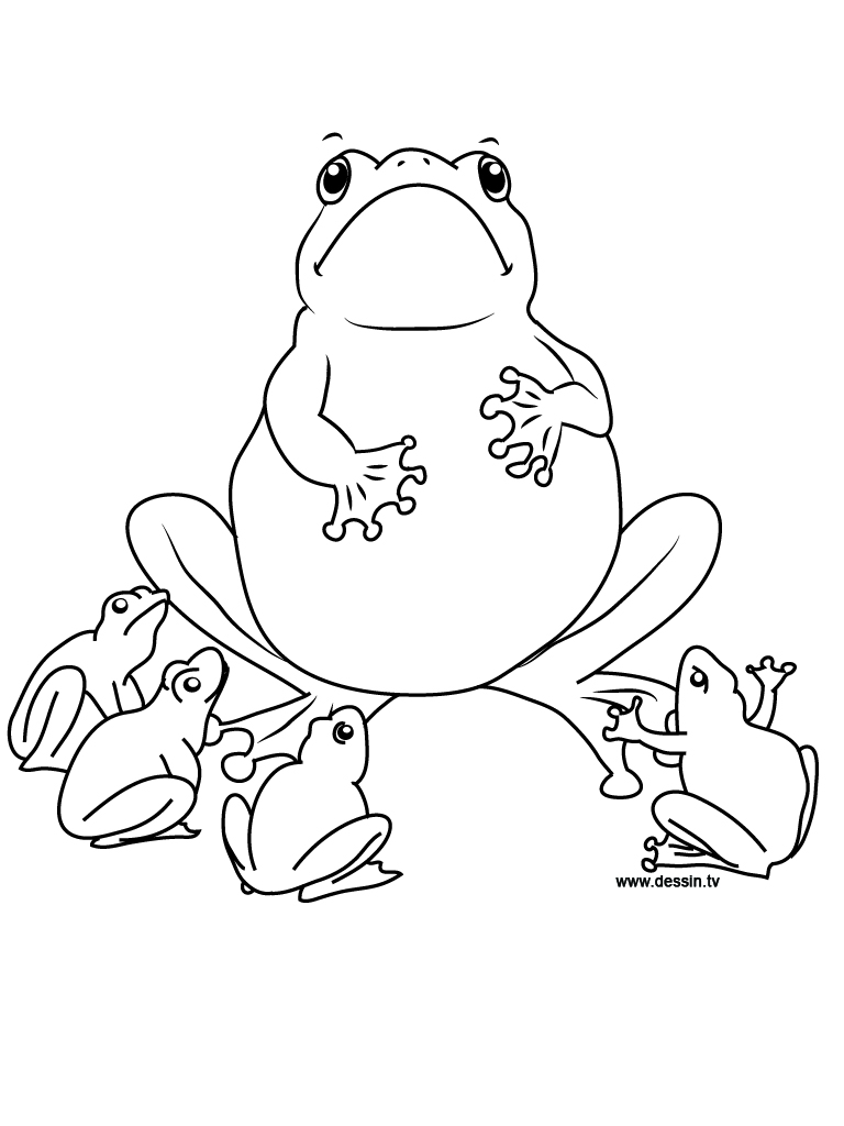 200+ Frog Coloring Pages 10