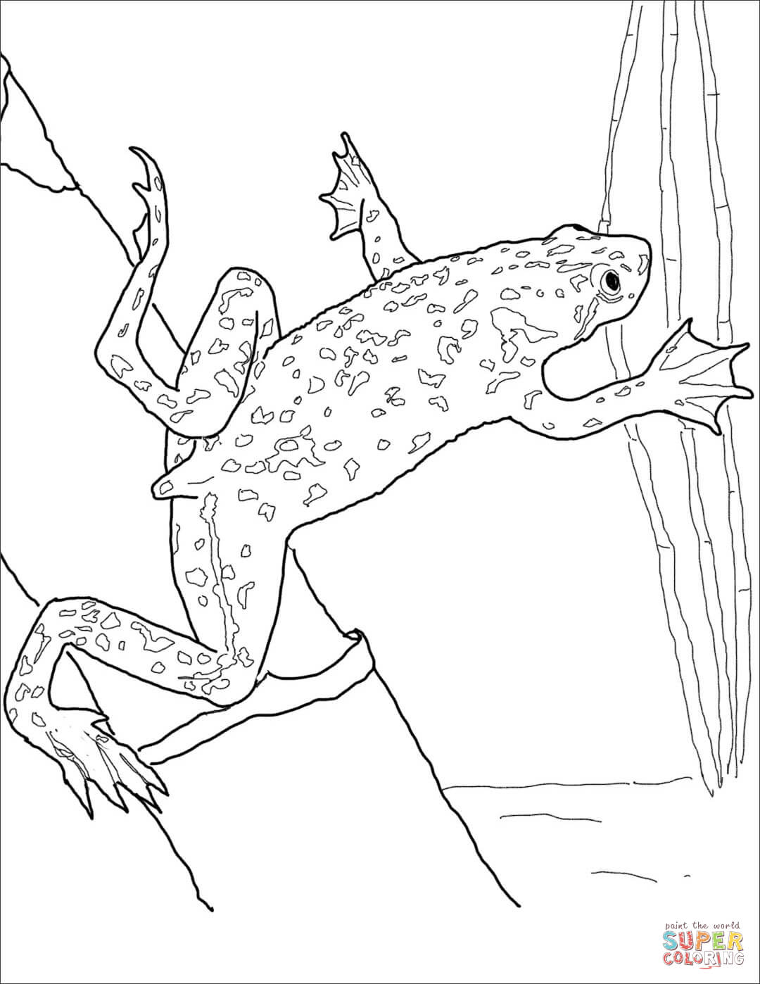 200+ Frog Coloring Pages 103