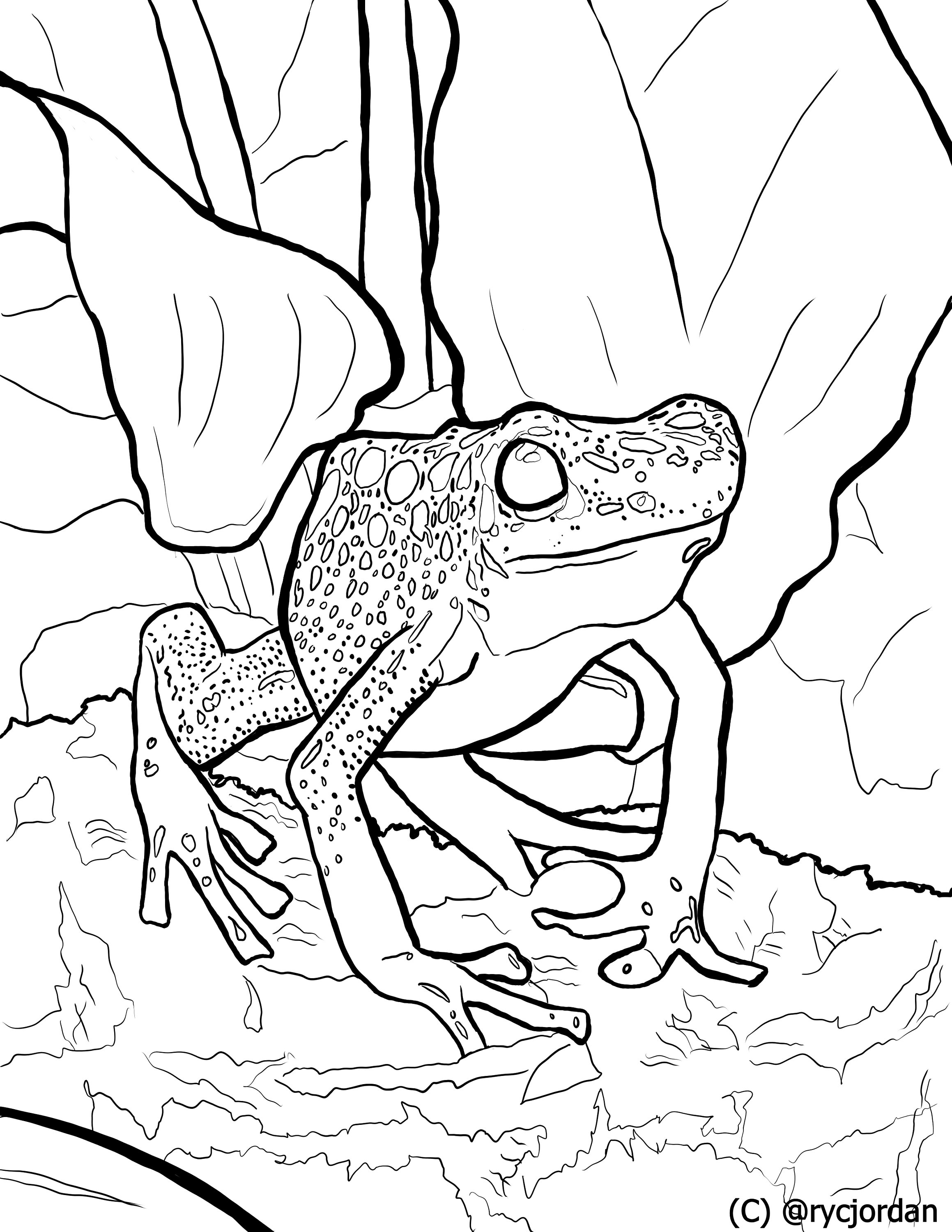 200+ Frog Coloring Pages 120