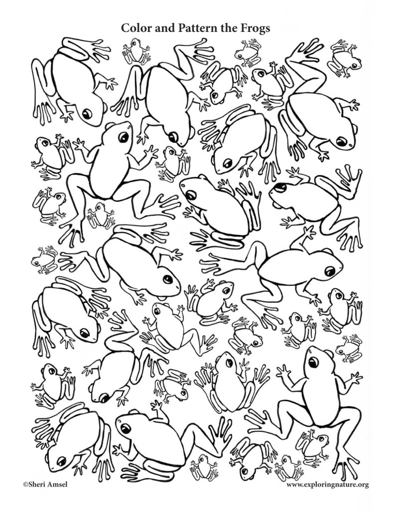 200+ Frog Coloring Pages 126