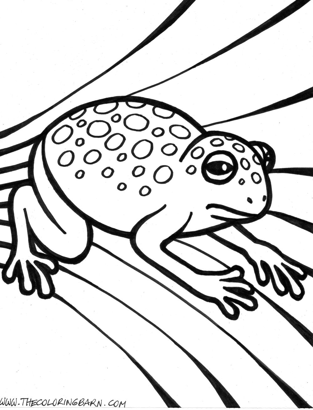 200+ Frog Coloring Pages 128