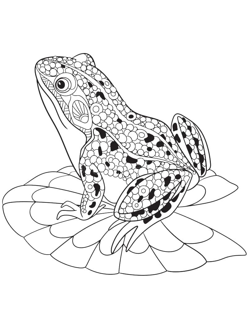 200+ Frog Coloring Pages 160