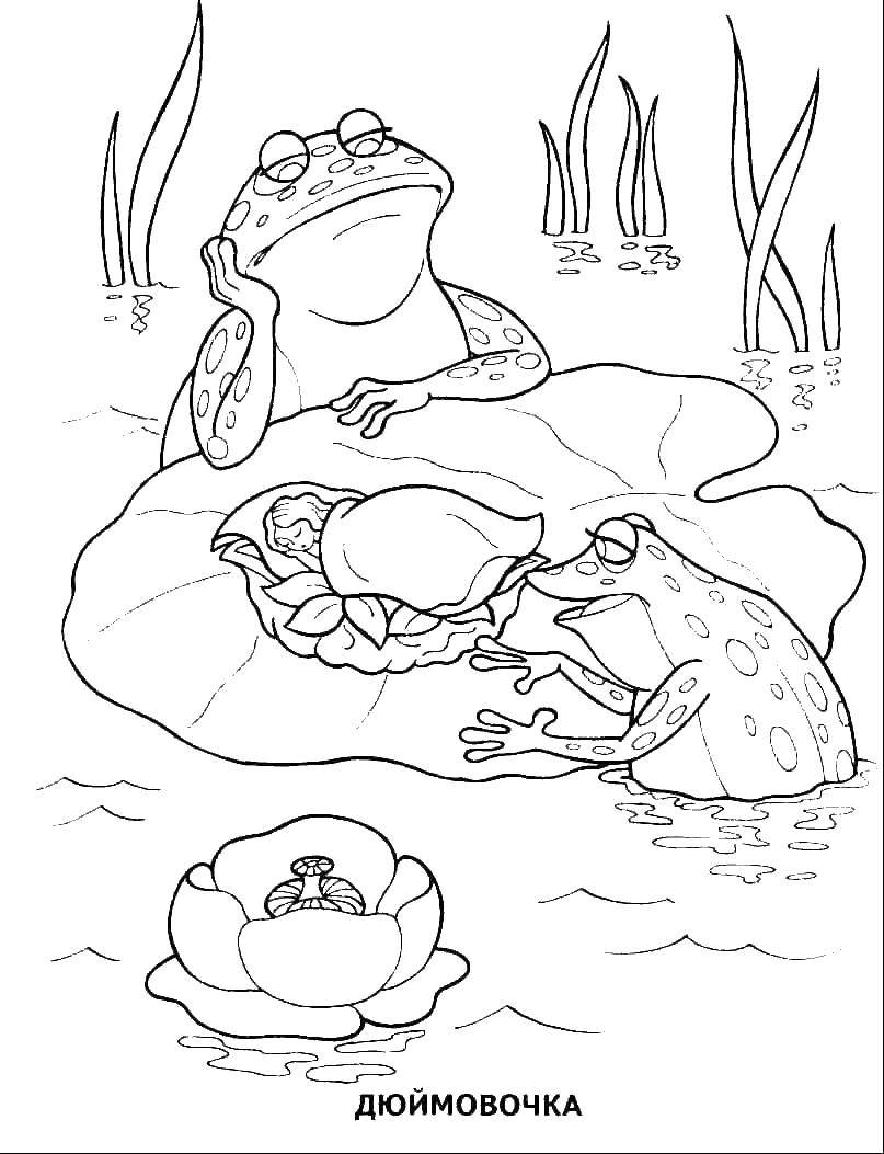 200+ Frog Coloring Pages 168