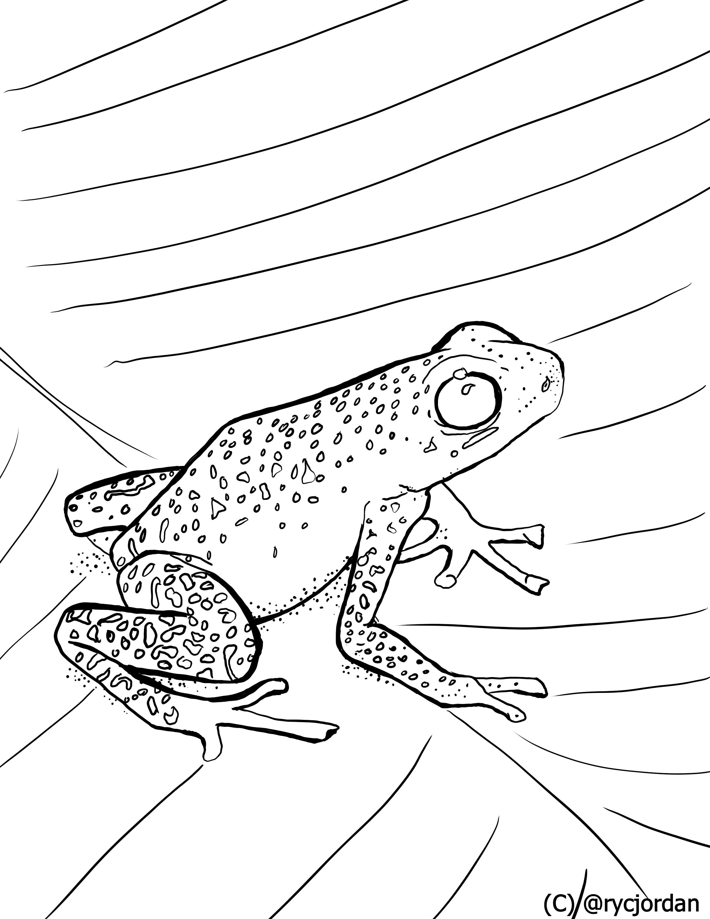 200+ Frog Coloring Pages 199