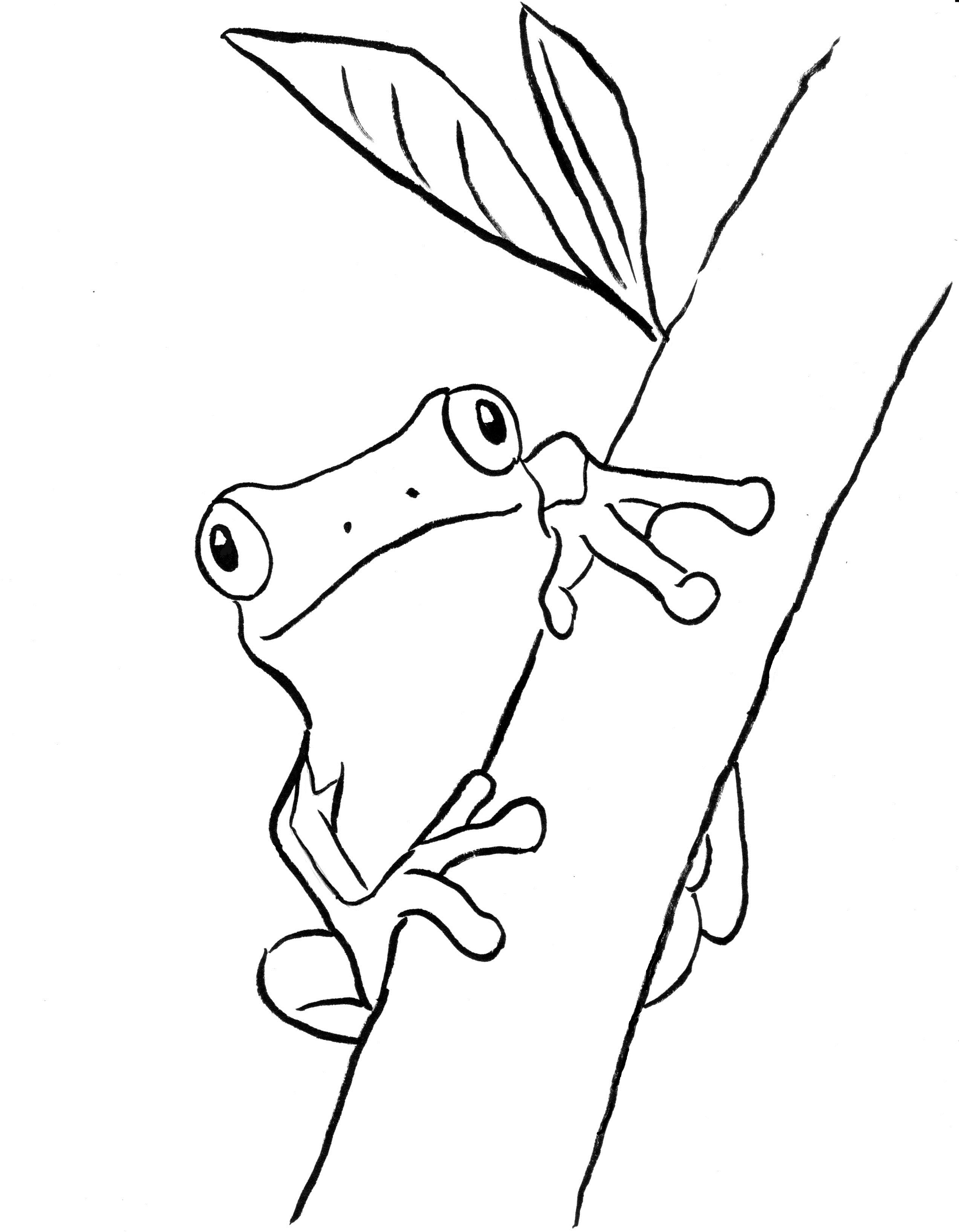 200+ Frog Coloring Pages 20