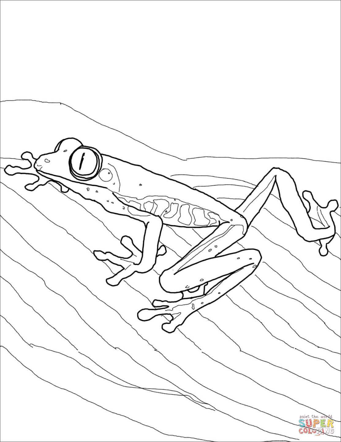 200+ Frog Coloring Pages 27