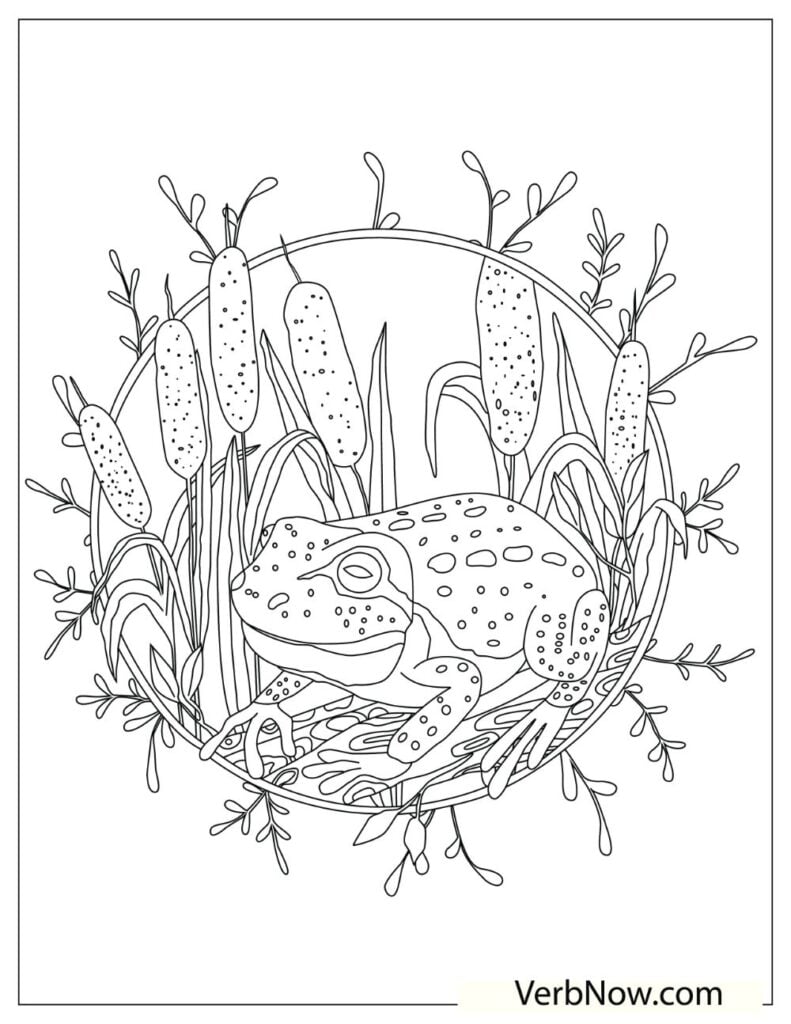 200+ Frog Coloring Pages 29