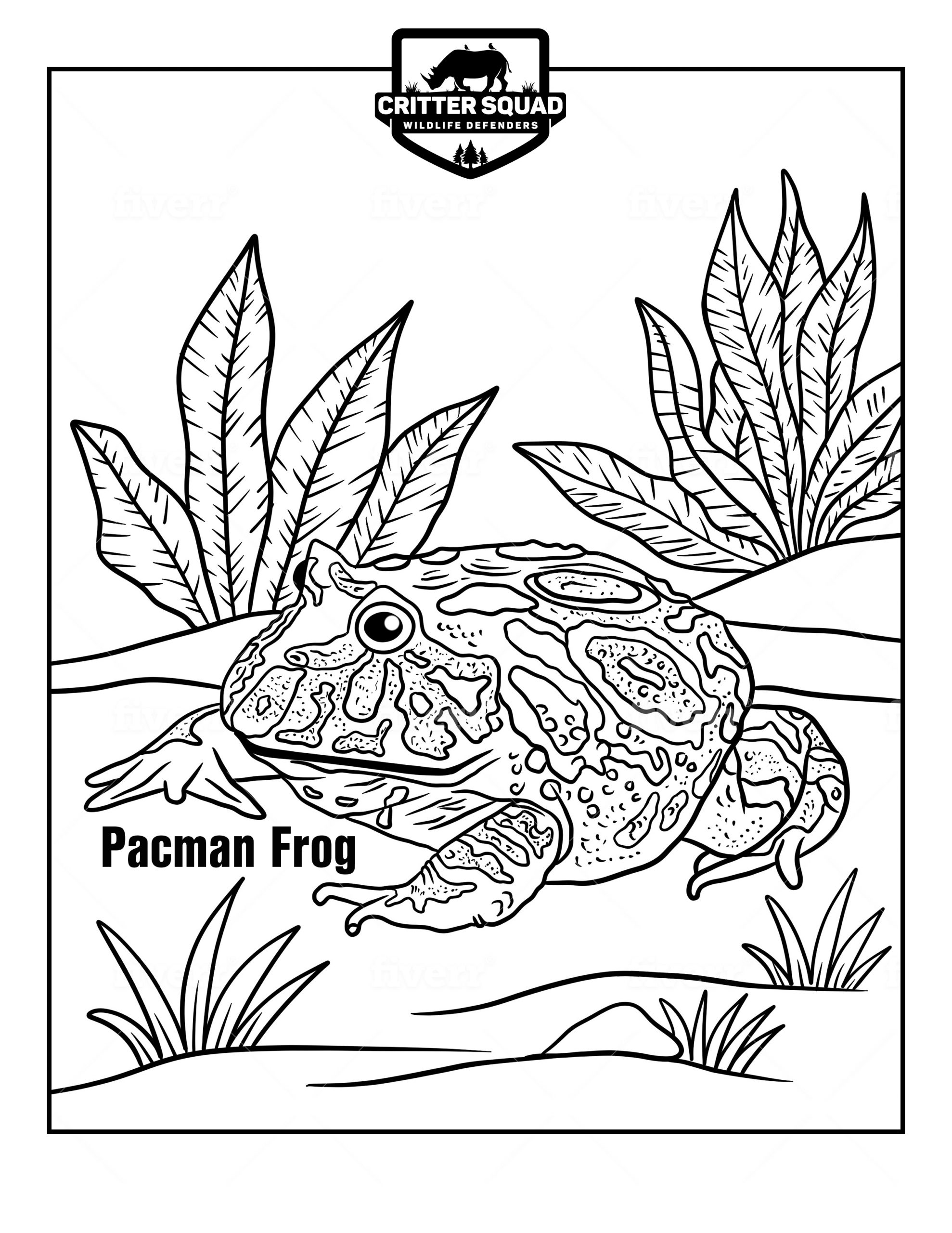 200+ Frog Coloring Pages 33