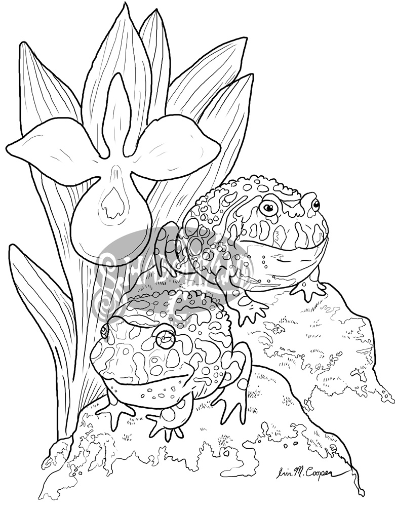 200+ Frog Coloring Pages 38