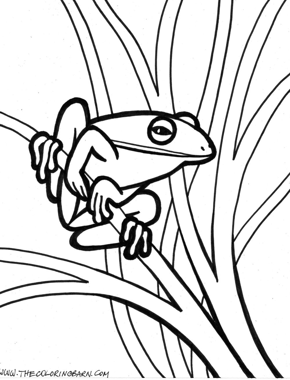 200+ Frog Coloring Pages 39