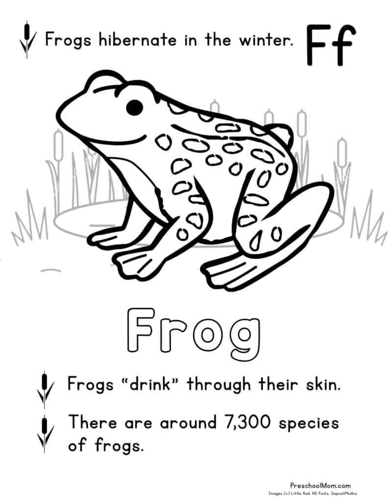 200+ Frog Coloring Pages 4