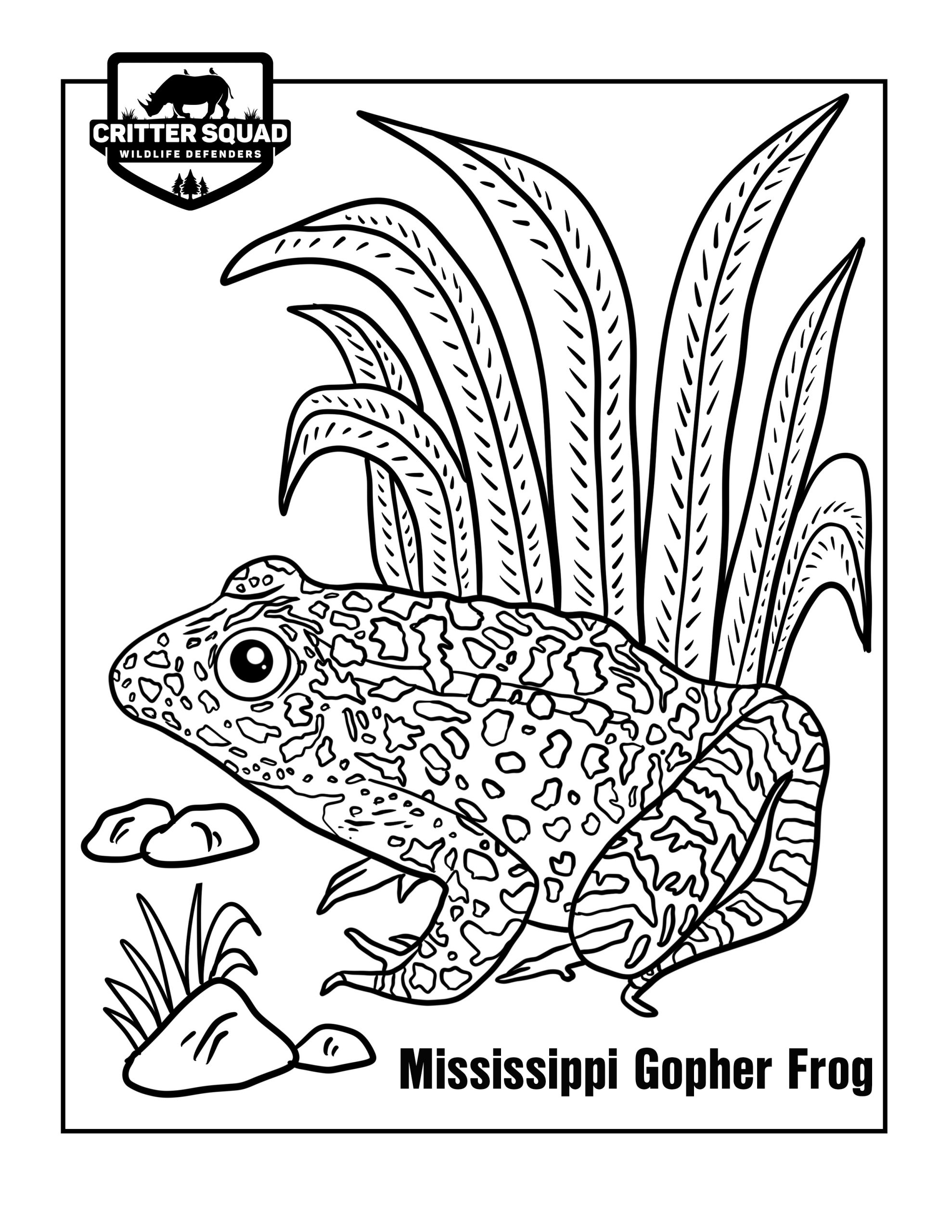 200+ Frog Coloring Pages 46