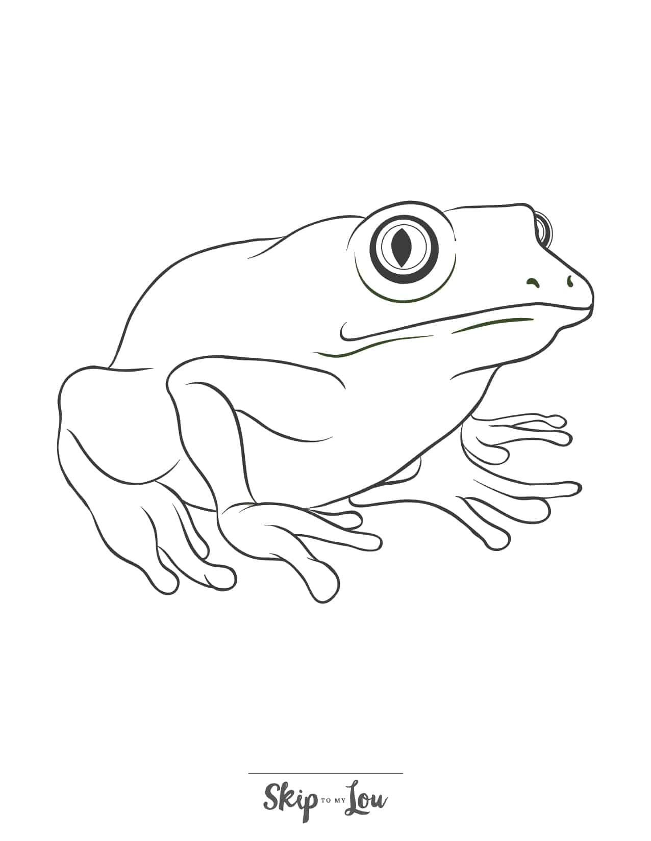 200+ Frog Coloring Pages 48